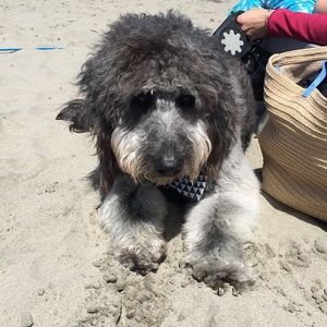 Meet your Posher, Kailyn